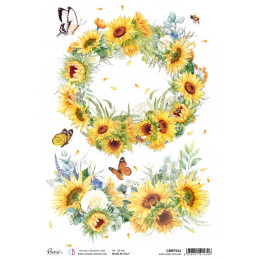 copy of 